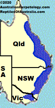 Approximate distribution of the Copper-tailed Skink (Ctenotus taeniolatus) map
